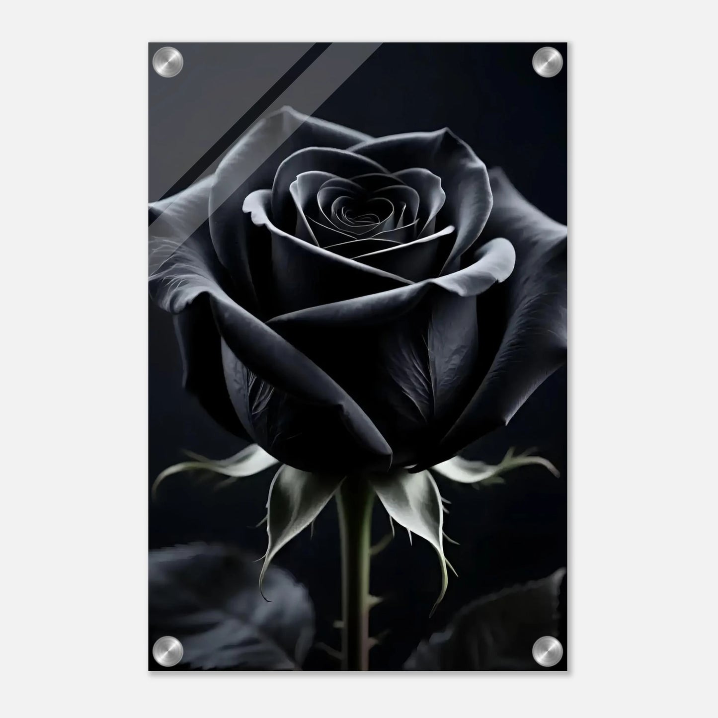 7bb2f528-a341-4093-9599-7f0975f72e5e