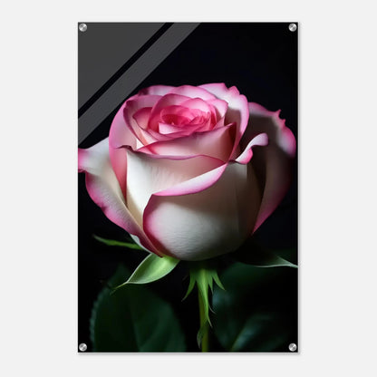 7de890c0-bc01-4507-bdf3-3488365cdff7