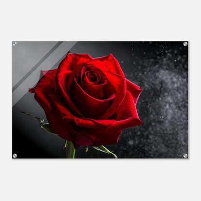 7f91a189-d1aa-44ca-80cc-00625aa99244