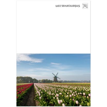 85326cc1-68aa-4ec7-b253-579075b139d0