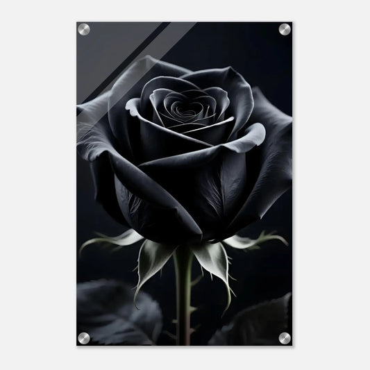 85fe9f03-04c1-4f96-9701-d864d9590c12