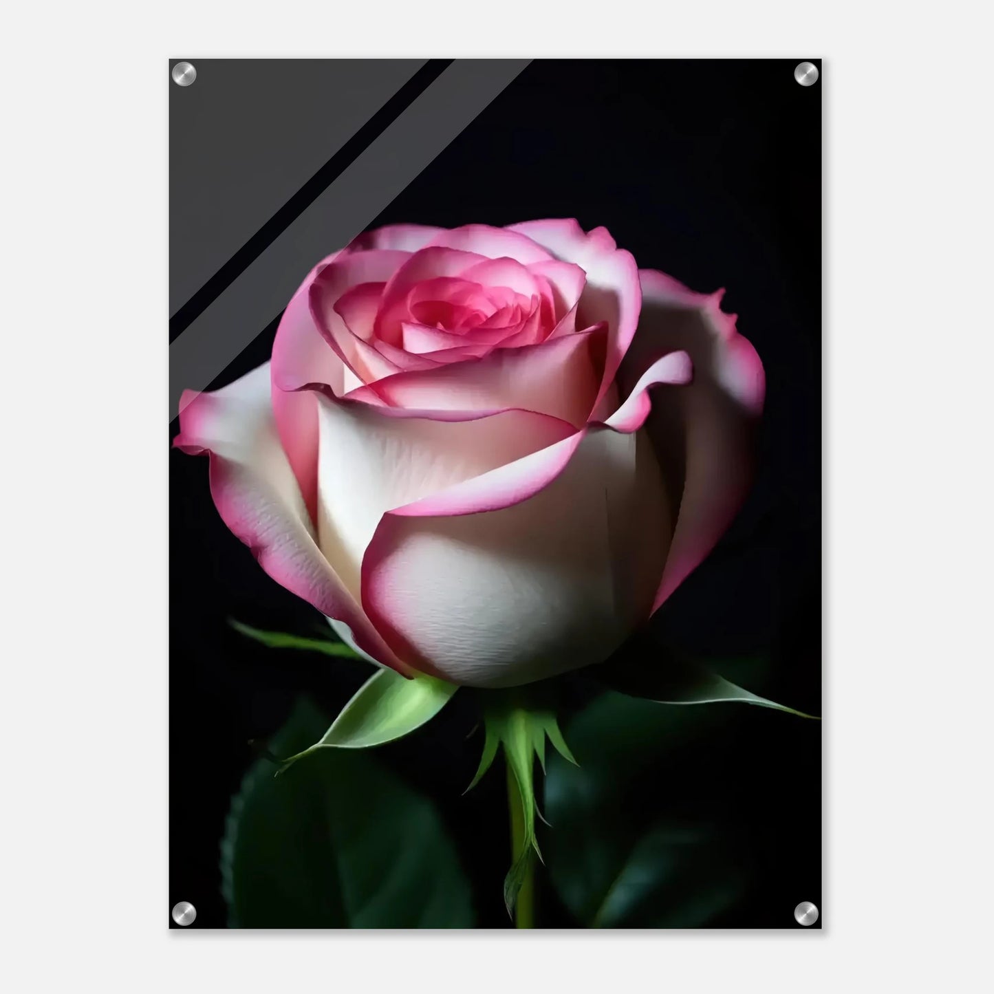 87327aed-f8ab-4528-ac24-13d3b04a02b2