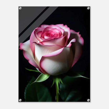 87327aed-f8ab-4528-ac24-13d3b04a02b2