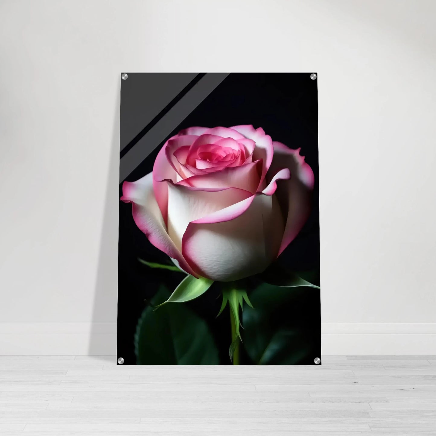 89977704-31dd-4ab6-a6c3-5ae556159cb7