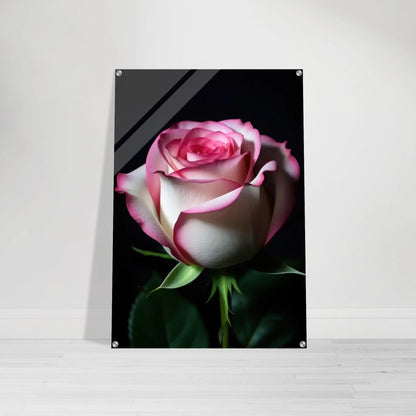 89977704-31dd-4ab6-a6c3-5ae556159cb7