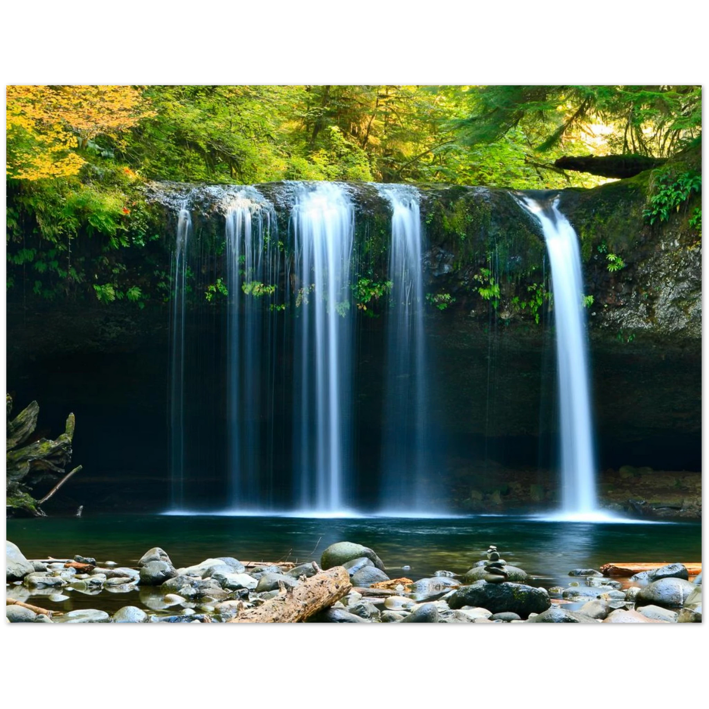 8a9ffcd9-9a48-4b18-ba35-56392130254a