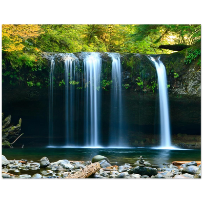 8a9ffcd9-9a48-4b18-ba35-56392130254a