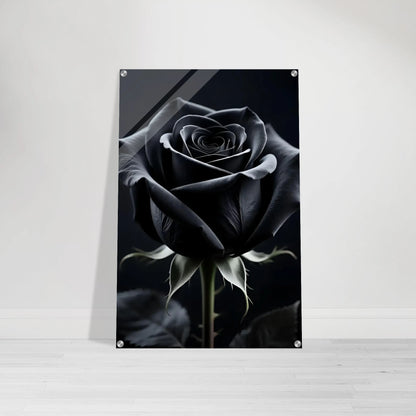 8e237f8b-1dde-4ca9-add4-3419b098089f