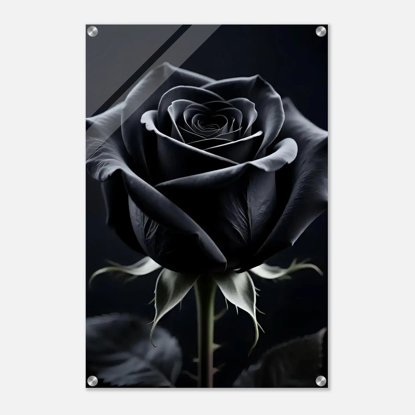 8f8cbe84-5321-4652-96ad-a49547f3deda