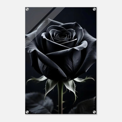 8f8cbe84-5321-4652-96ad-a49547f3deda