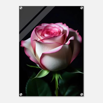 90dac5ee-f8a7-452d-aea6-6d78bbd5b555