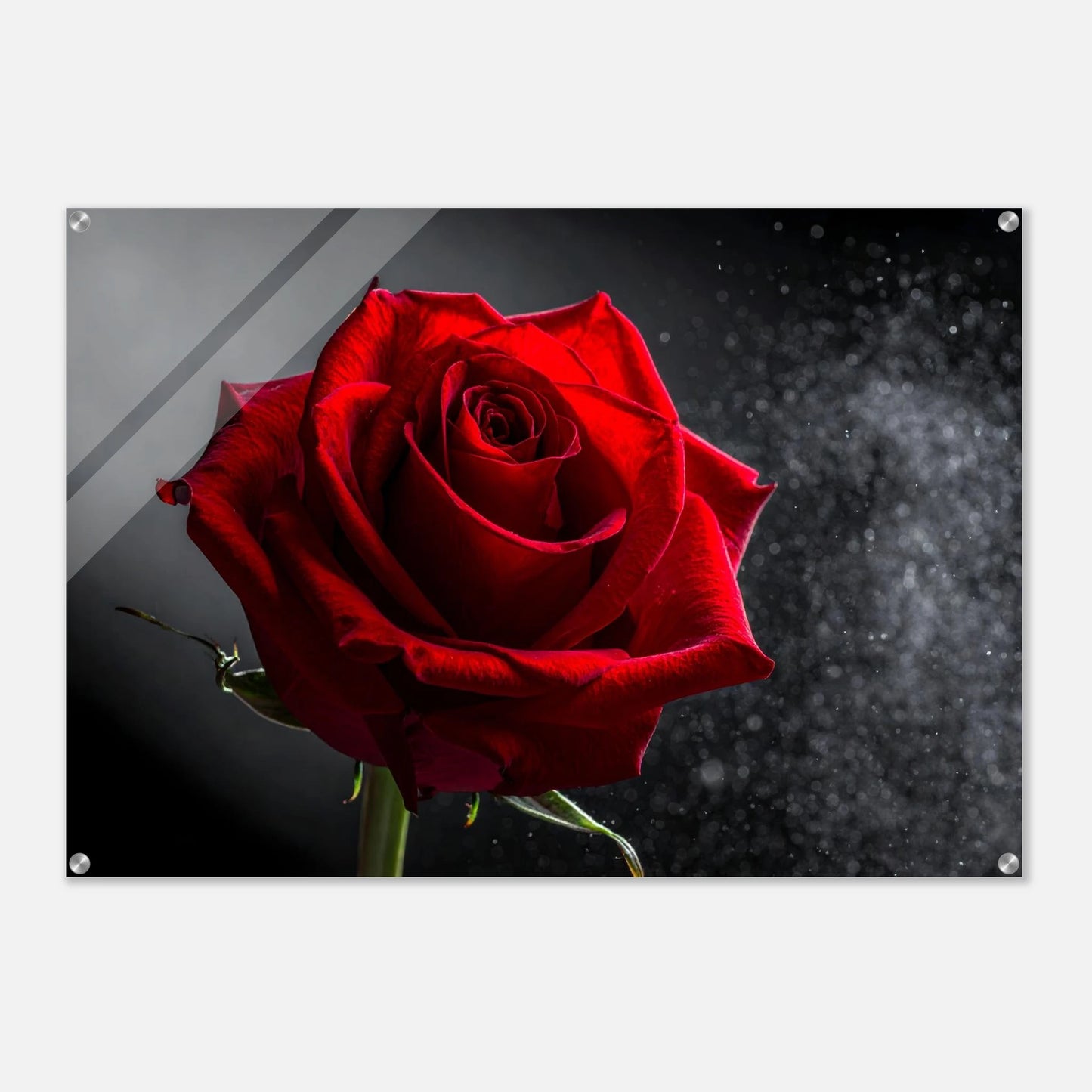 930a7d4e-dc74-4bca-b375-58f8e963b12e