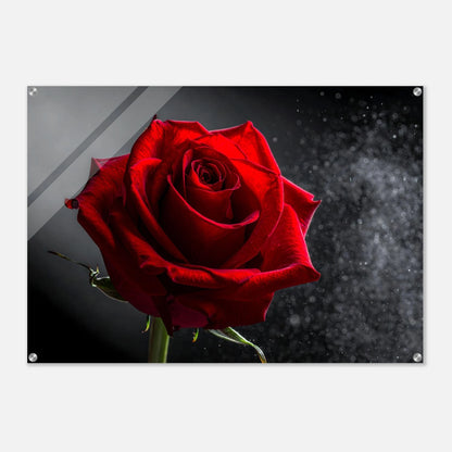 930a7d4e-dc74-4bca-b375-58f8e963b12e