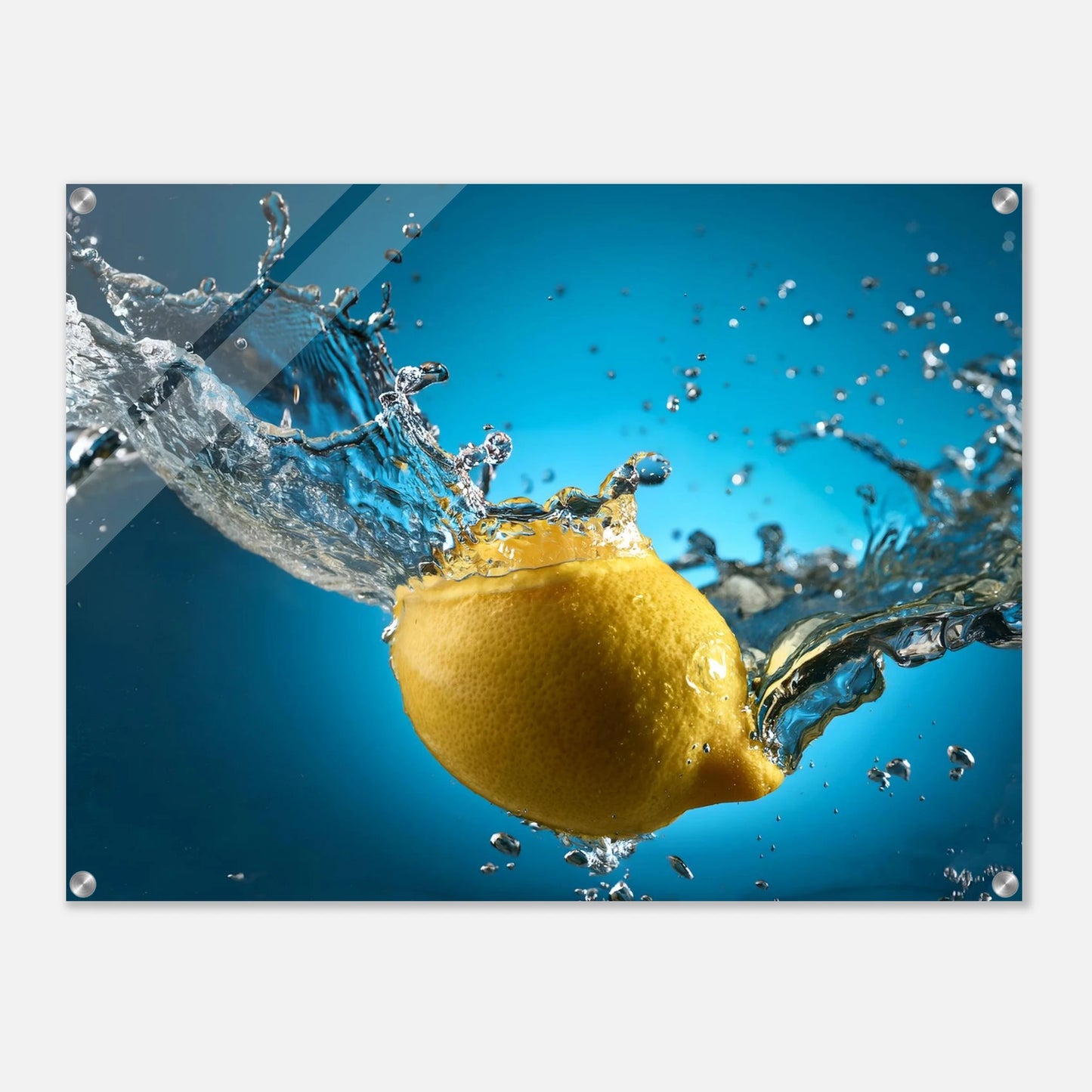 9329f725-db50-4e88-aa13-55b54db8aaa1