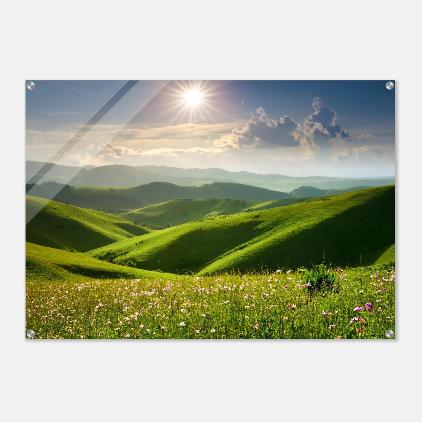 958a4b7d-dcce-4533-b77f-ee8aed901139