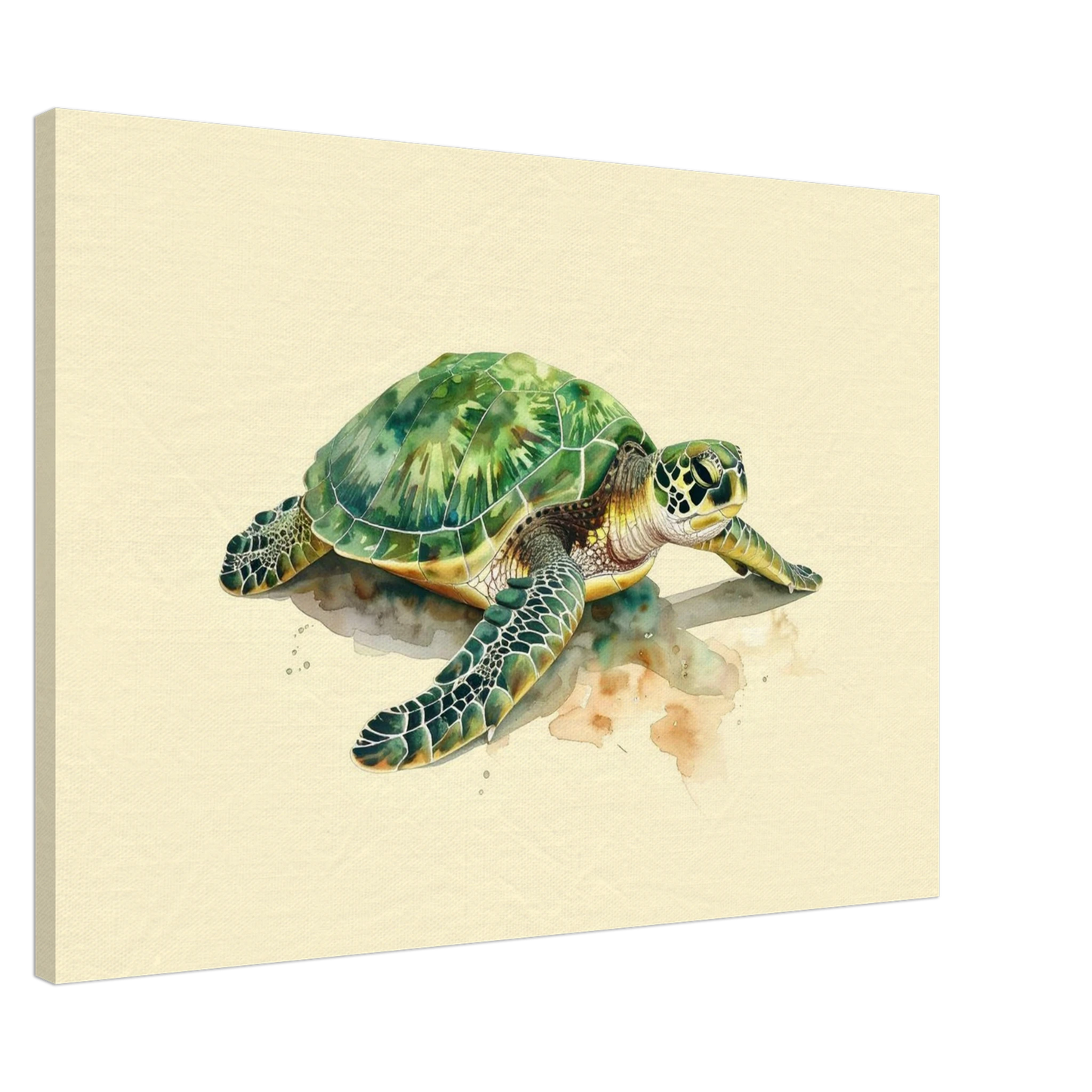 97072392-837f-434a-9096-c764fa39e816