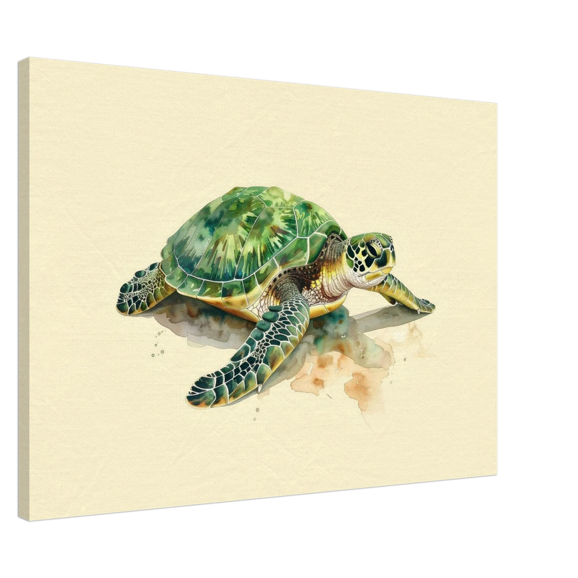 97072392-837f-434a-9096-c764fa39e816