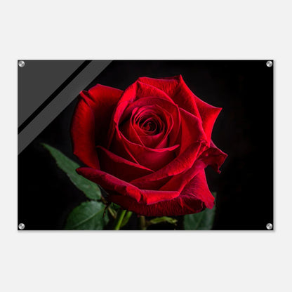 97718b5e-61b0-4555-bdd5-c1a9ba763b3e