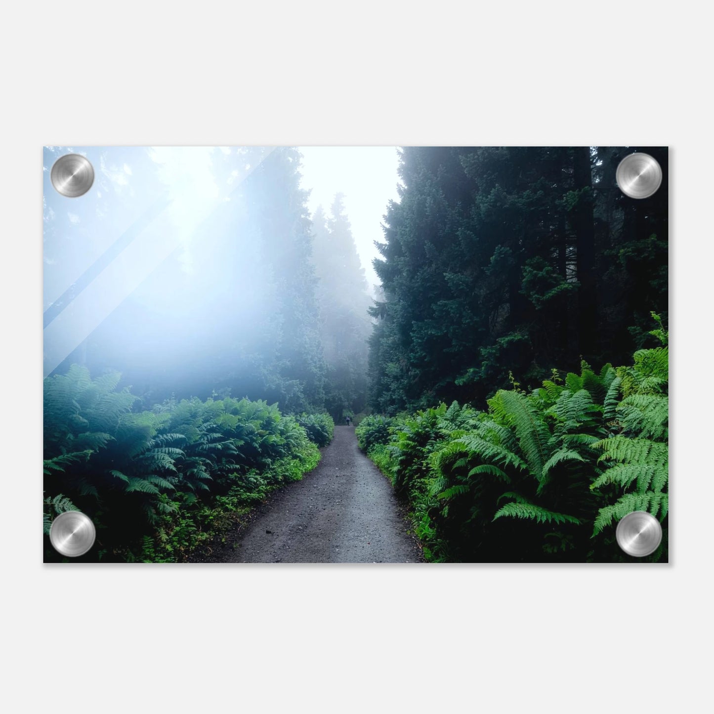 99b03bad-7d8b-4089-955d-626fdee148af