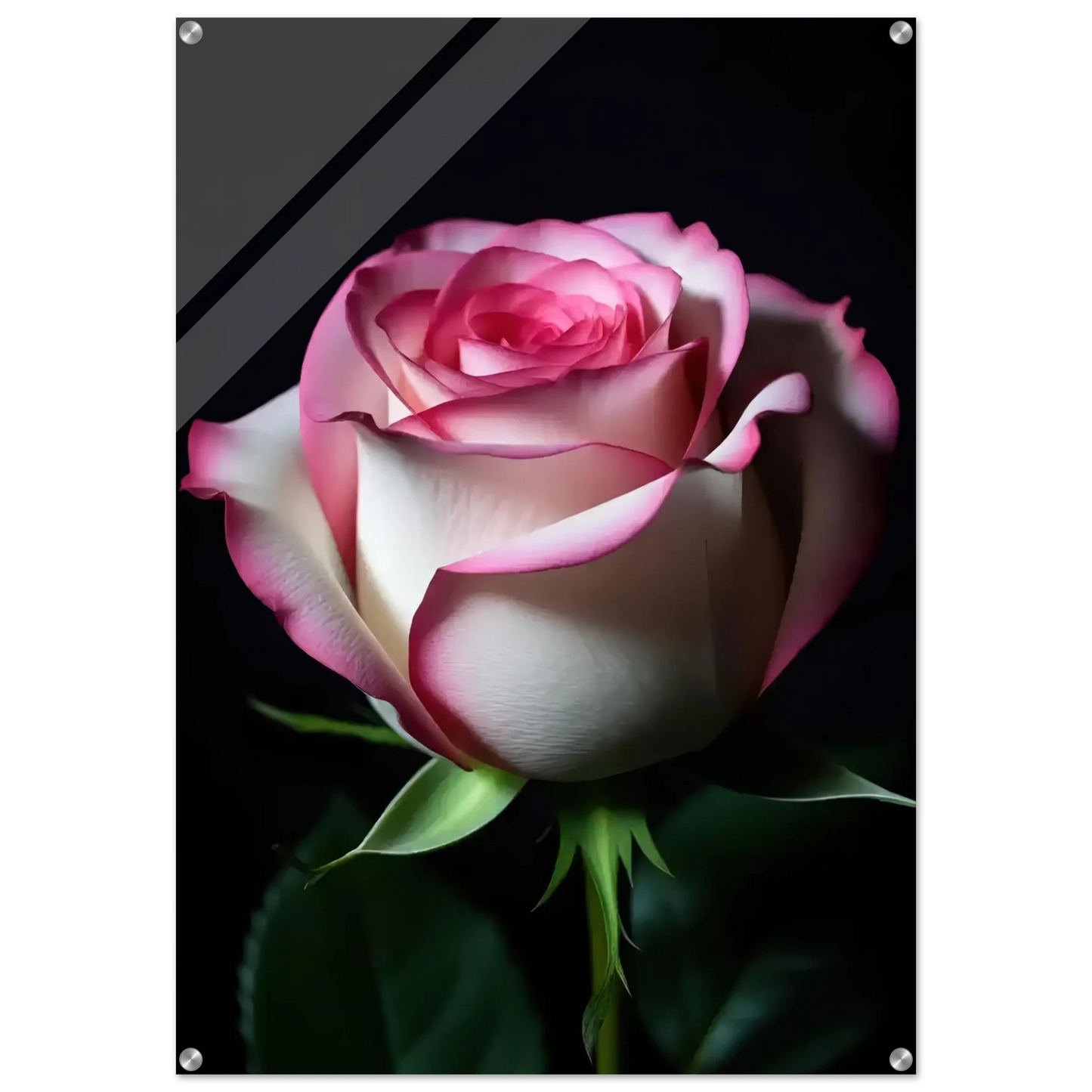 99c535d2-7ec4-49f8-b674-e88ea2b84756