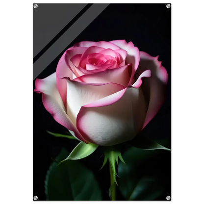 99c535d2-7ec4-49f8-b674-e88ea2b84756