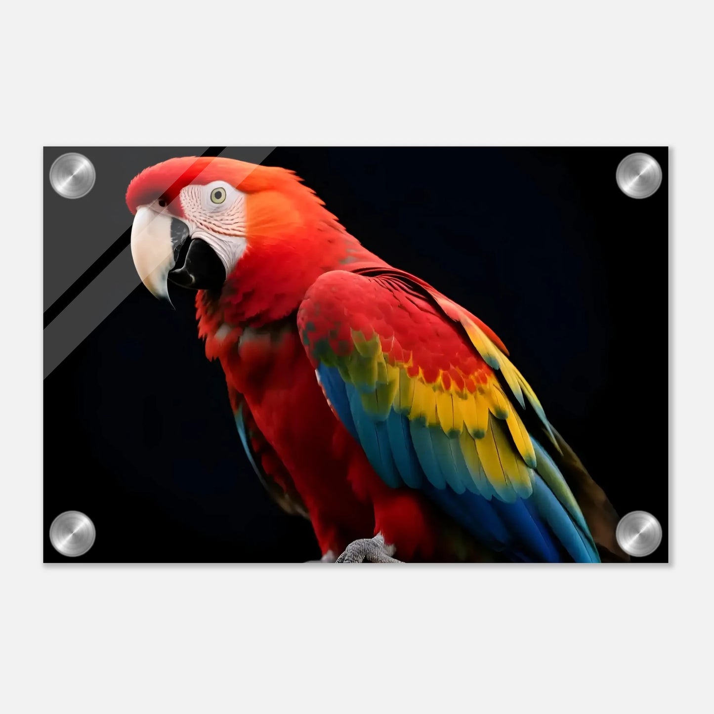 9fe3ec2a-7a08-4858-b381-325b0708e3da