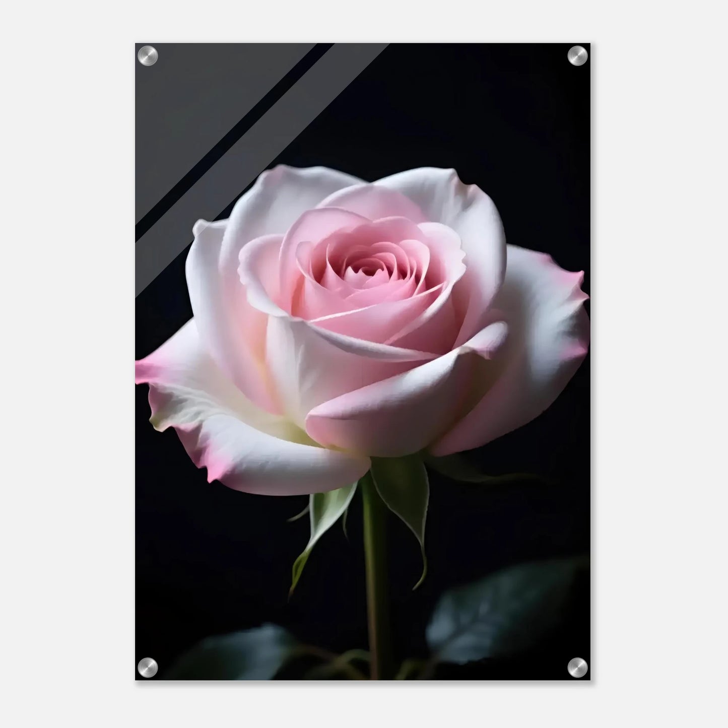 a08729c6-bdf6-46f5-99c0-0591576560d8