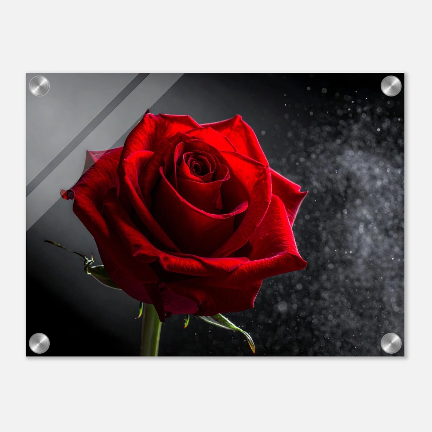 a62b4de3-fc74-437b-8d91-d6478b39ded4