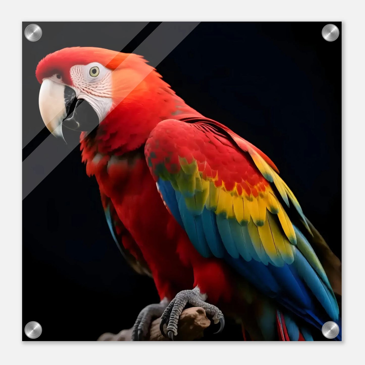 a86d54b6-e8fb-4394-8767-c73a46c94175