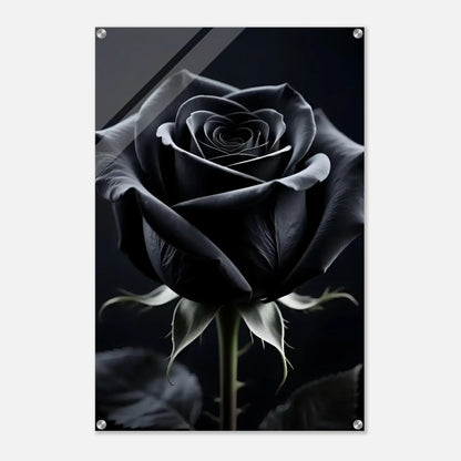 a93f865f-961b-479e-b1f5-be0a56df88a0