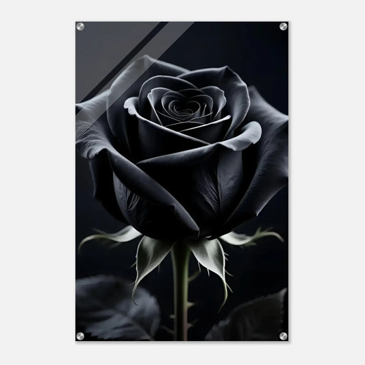 a93f865f-961b-479e-b1f5-be0a56df88a0