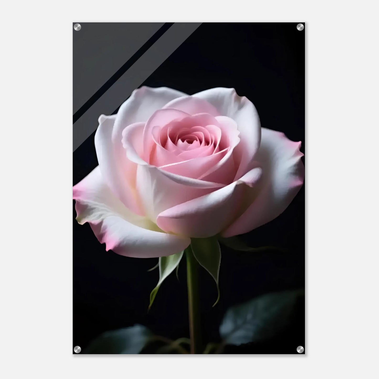 ab6bc6eb-d90d-454c-b151-748ef8fbd7e7