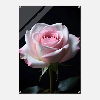 ab6bc6eb-d90d-454c-b151-748ef8fbd7e7