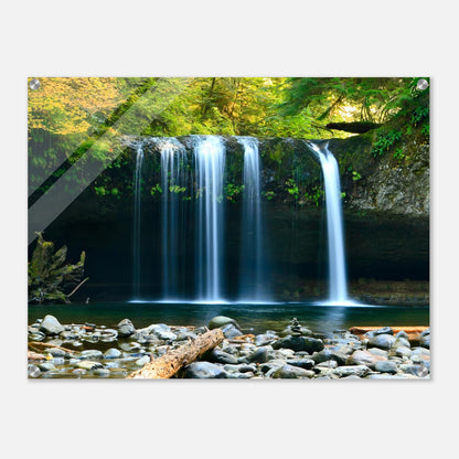 afd94145-1493-42a5-86eb-480a50ba5dad