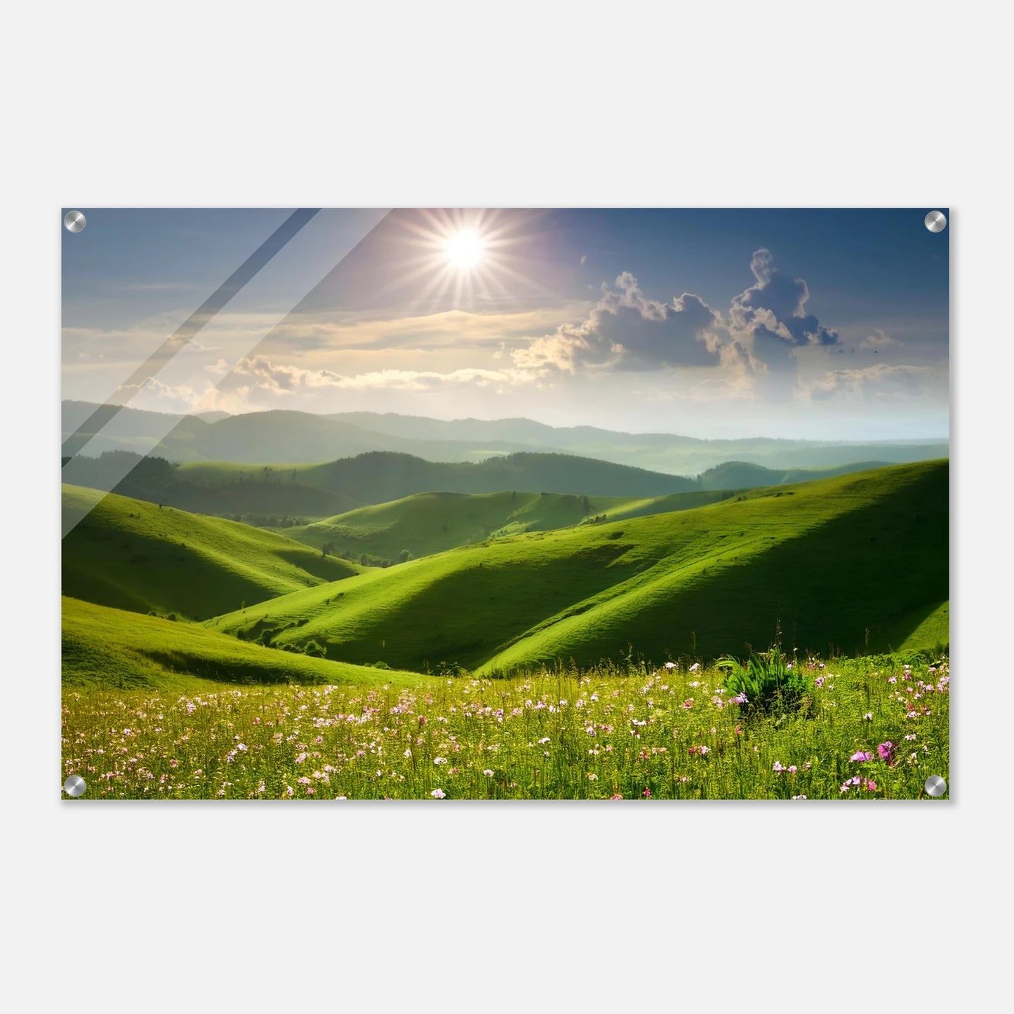 b32226b6-1715-4466-8316-e23e5a7a786b