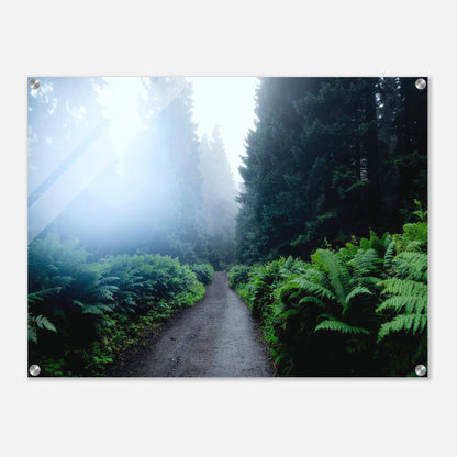 b5f08154-9e6c-4260-a466-5611be01a54d