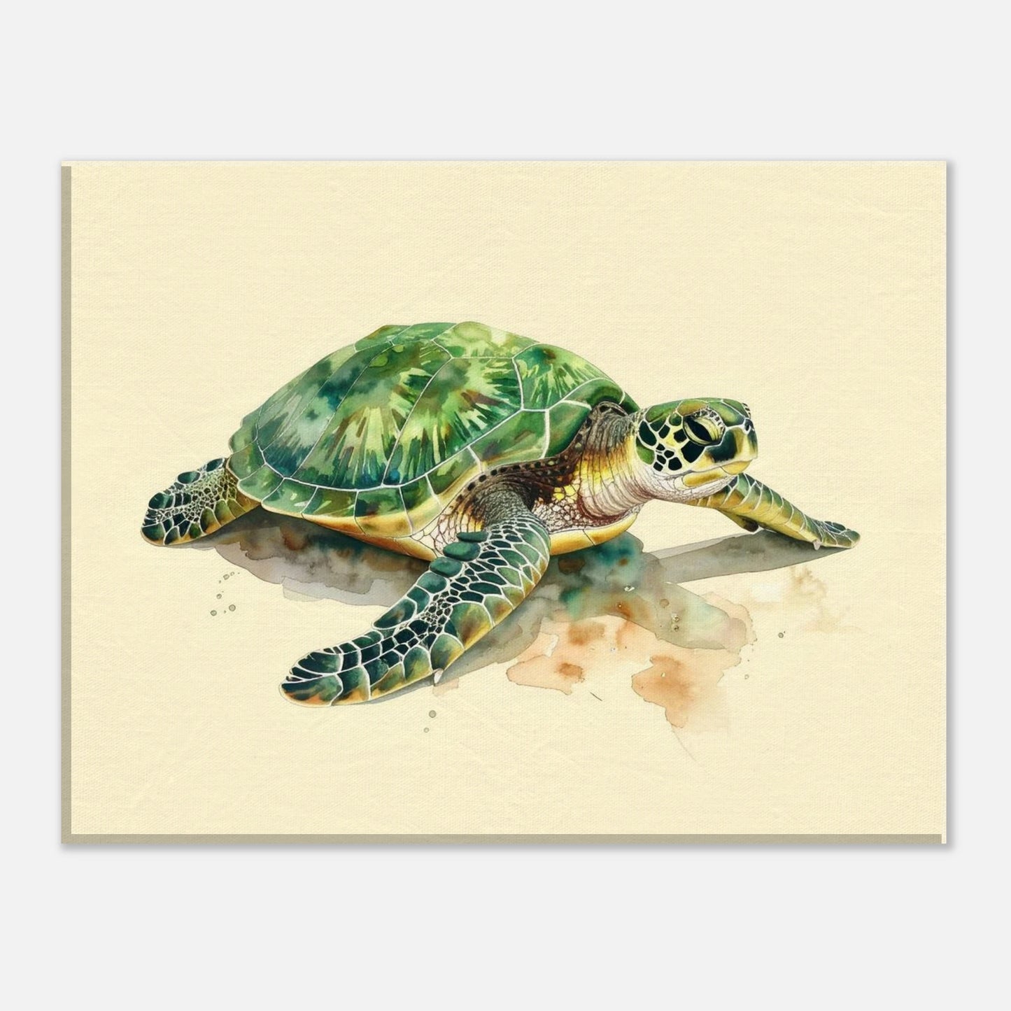 b6f8e034-1c59-4857-a285-12d99e7ba688