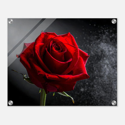 b8823e14-2252-40af-b6e4-8c9642475f71