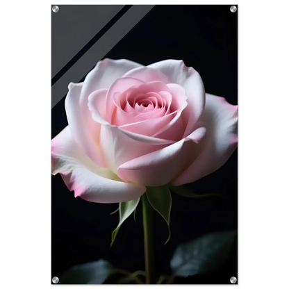 bcbbb641-5481-4eee-adf8-d14fed543ac7