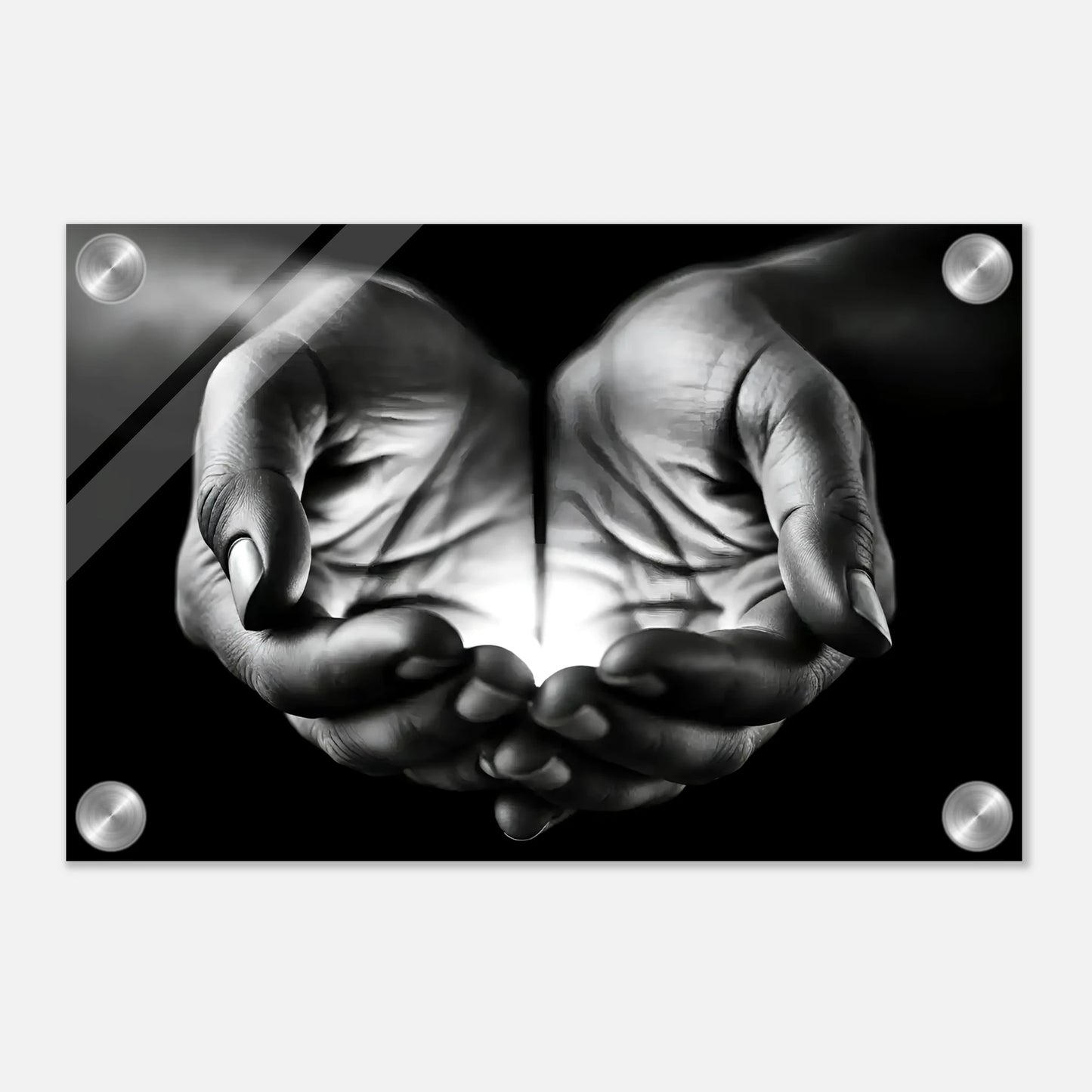 c06c099f-a969-4d04-b9a5-e89bbc952db5