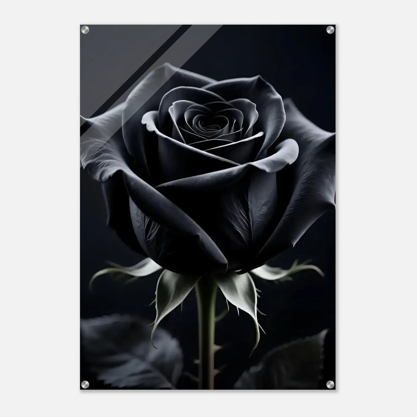 c4e25f44-6a88-41ba-908f-d6ade74f75c6