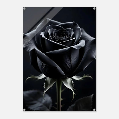 c4e25f44-6a88-41ba-908f-d6ade74f75c6