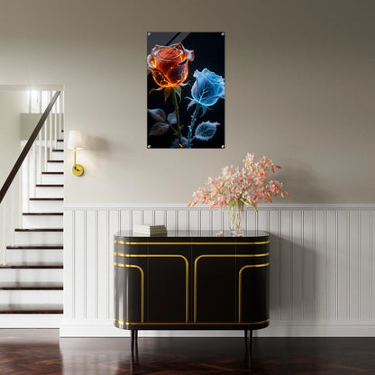 c56e0753-6ecd-485f-88f0-117c09cee2f6