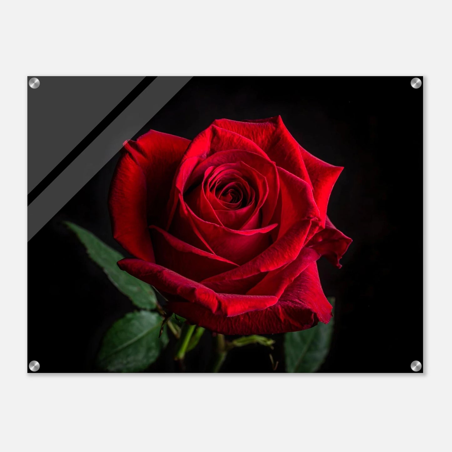 cb37c550-18c5-4a9b-9de2-79bdbb24909b