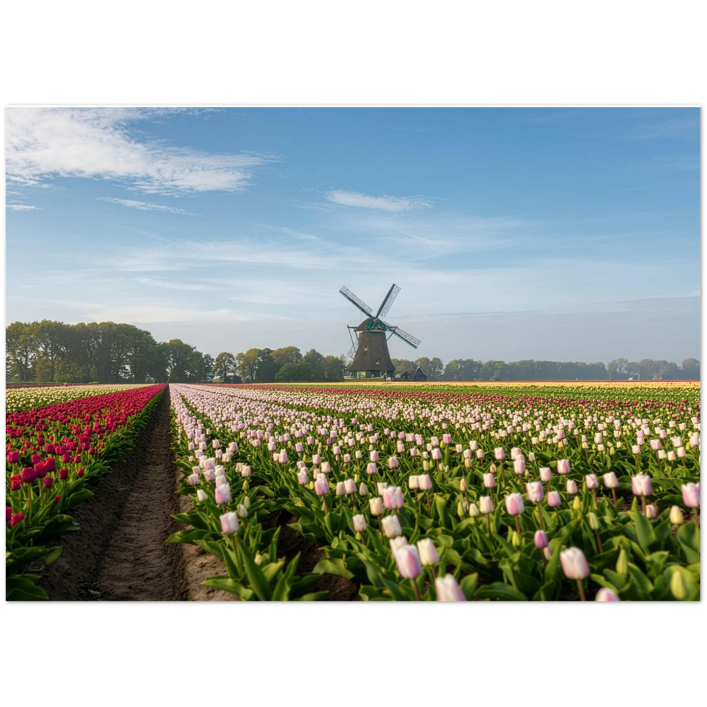 cbeec8df-a7ab-422d-8b67-75288dd34db0