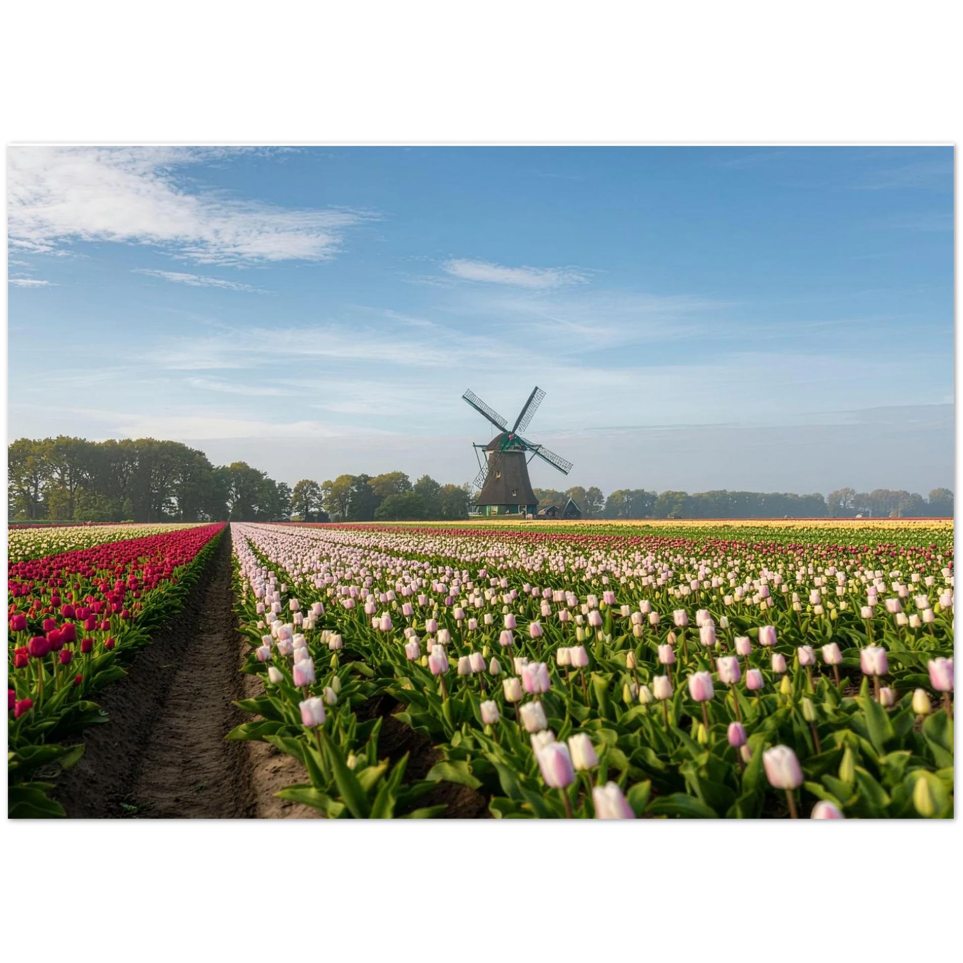 cbeec8df-a7ab-422d-8b67-75288dd34db0