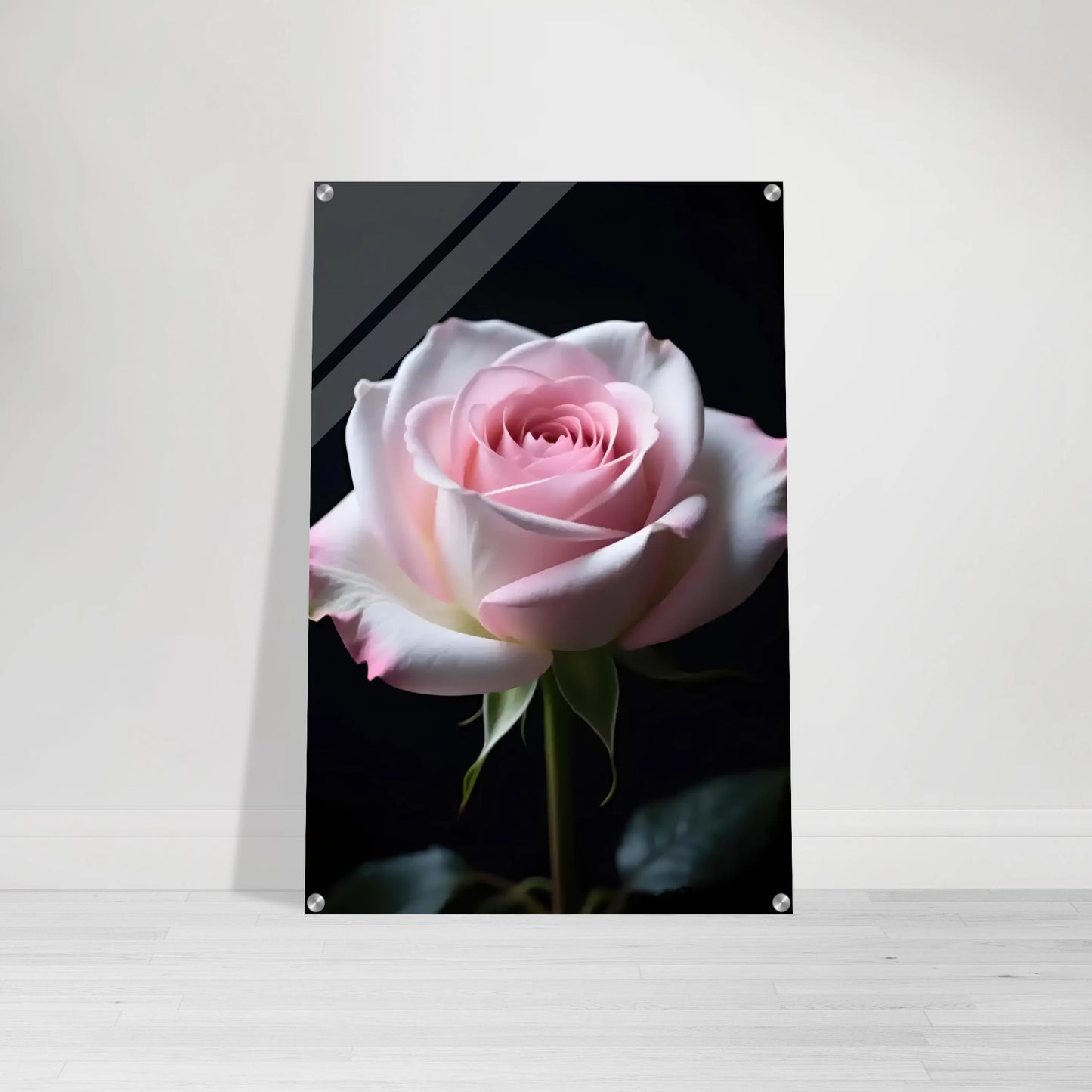 ccd66fd2-b1dd-4f88-bb7d-5eccfbf27cbb