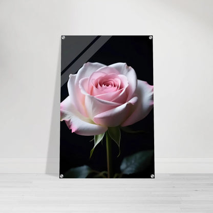 ccd66fd2-b1dd-4f88-bb7d-5eccfbf27cbb