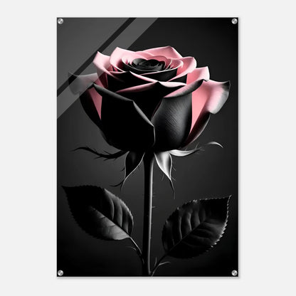 cf36e83e-e2dd-4758-a70d-5b95712b3902