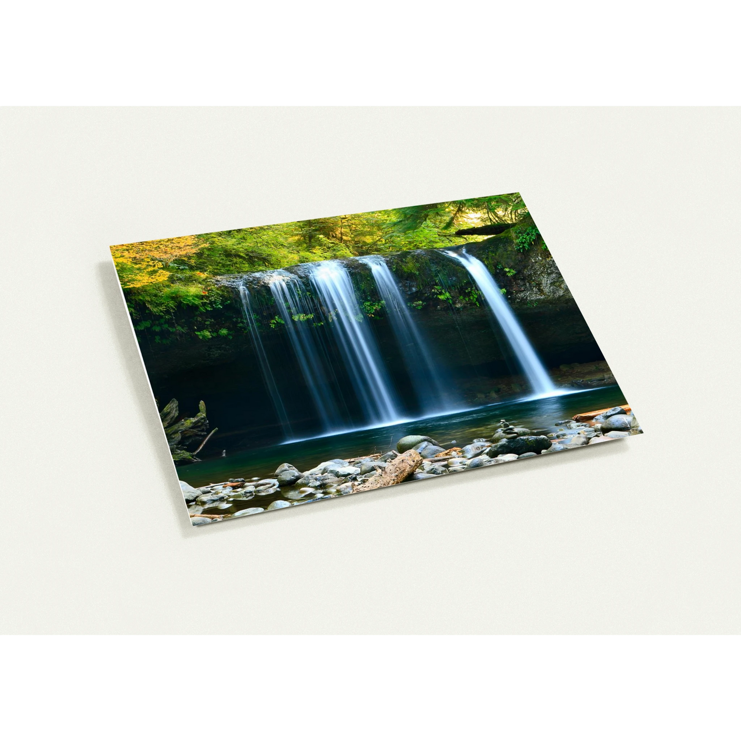 d100b34a-5165-4d60-b0e1-64ae39f5a307